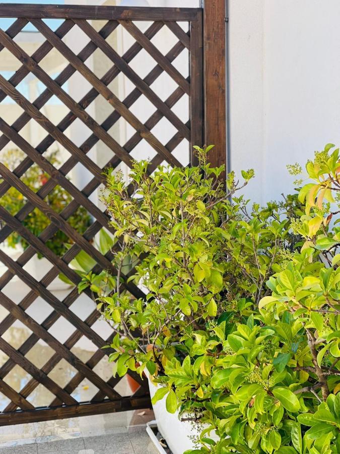 Vicosuite Neathon Holiday home Noto